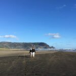 6 Hours Sightseeing Tour in Auckland - Final Thoughts: Who Should Consider This Tour?