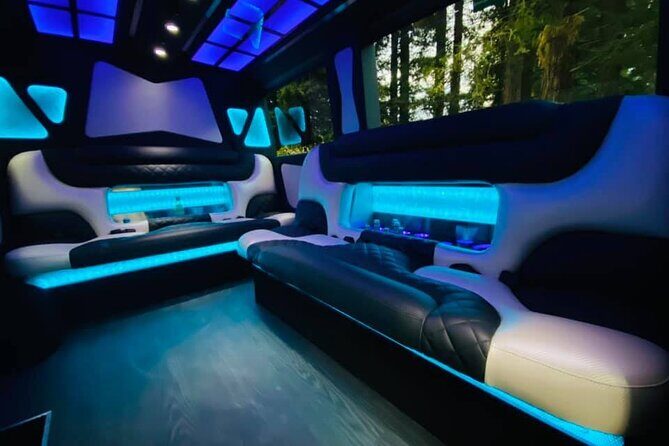 6hr | 7 Passenger Mercedes Sprinter Limo Van Private Tour - Who is This Tour Best For?