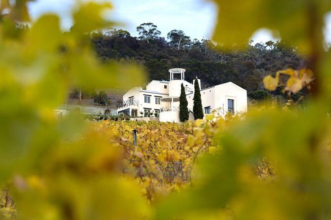 7- 8 Hour StelaVino Guided Wine Tours From Hobart, Tasmania - What Travelers Love
