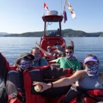 7-8 Hour Zodiac Whale Watching Tour - What to Expect During the Day