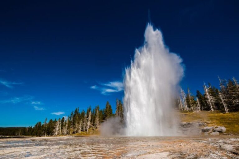 7-Day Yellowstone National Park Rocky Mountain Explorer - The Real Experience According to Travelers