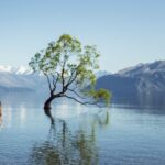 8 Day Southern Crossing Small Group Tour - The Value of This Tour