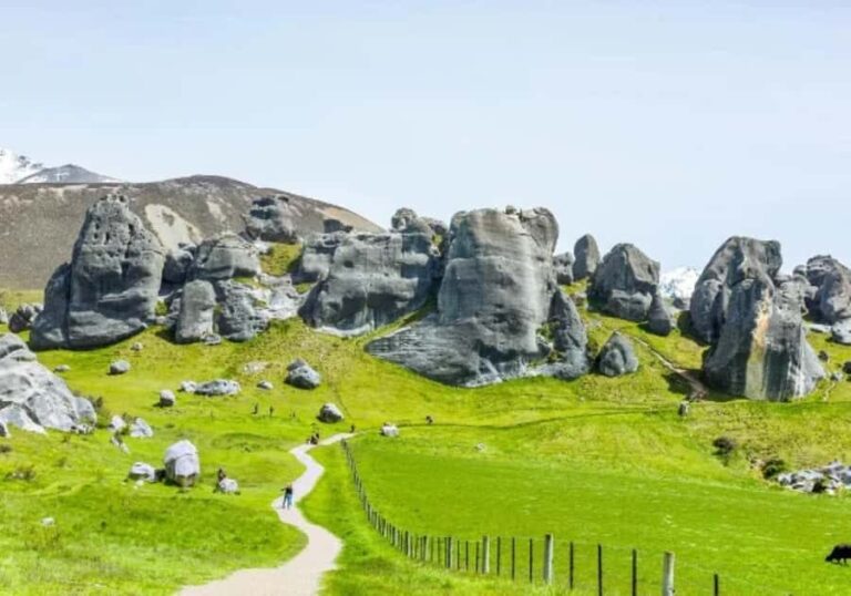 8 Day Southern Crossing Small Group Tour - What Travelers Are Saying