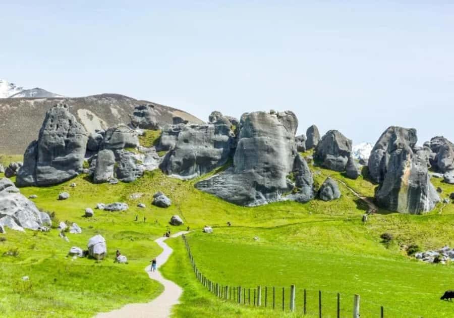 8 Day Southern Crossing Small Group Tour - What Travelers Are Saying