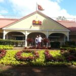 8-Hour Luxury Four Door Convertible Tour of Oahu's South and North Shores - Who Is This Tour Best For?