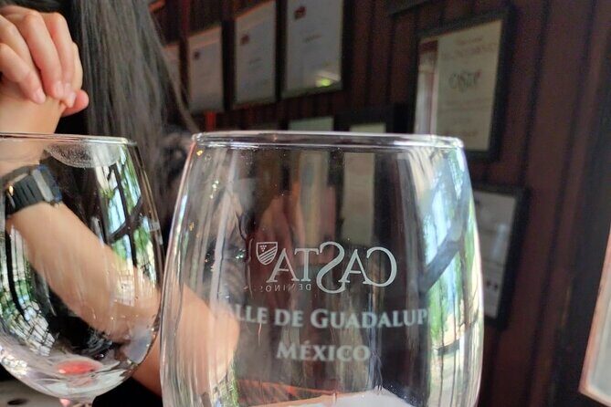 8 Hour Private Tour in the Guadalupe Valley 1-4 Passengers - Final Thoughts