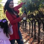 8 Hours 12 Passengers limo bus for Napa or Sonoma wine tour - Final Thoughts