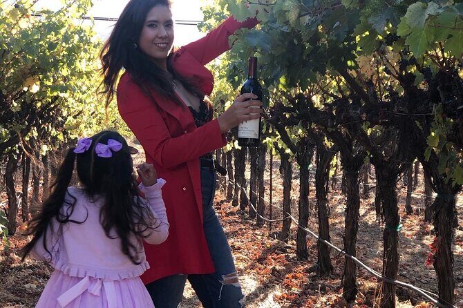 8 Hours 12 Passengers limo bus for Napa or Sonoma wine tour - Final Thoughts