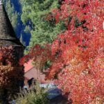 8hr-Private Wine Tour from SF & 1/2 Case of Californian wine. - Who Is This Tour Best For?