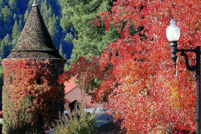 8hr-Private Wine Tour from SF & 1/2 Case of Californian wine. - Who Is This Tour Best For?