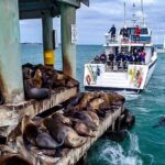 90 minute wildlife and scenic cruise - Who Should Consider This Cruise?