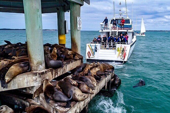 90 minute wildlife and scenic cruise - Who Should Consider This Cruise?