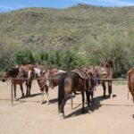 A Day In The Old West Adventure including Horseback Ride and Cowboy Lunch - FAQs