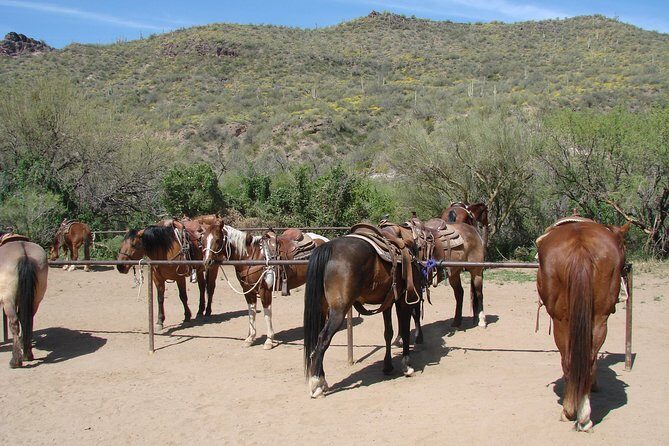 A Day In The Old West Adventure including Horseback Ride and Cowboy Lunch - FAQs
