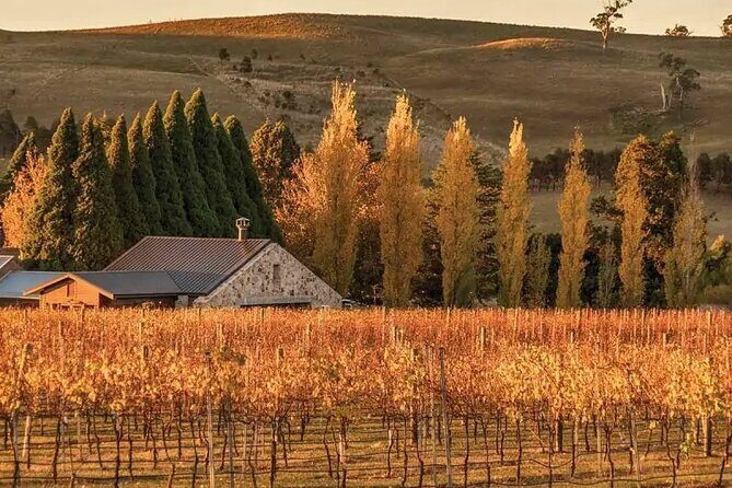 A Day In The Vineyards || Luxury Private Winery Tour From Sydney - Detailed Itinerary Breakdown