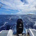 A Day of Big Game Fishing in a small group - The Realities: Pros and Cons