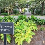 A Film History of Savannah Walking Tour - Who Will Love This Tour?