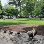 A Journey Through Time: a walking/driving tour of Boston - What the tour includes and what to consider