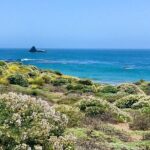 A La La Tour - Private Tour of California's Central Coast - The Itinerary and Stops
