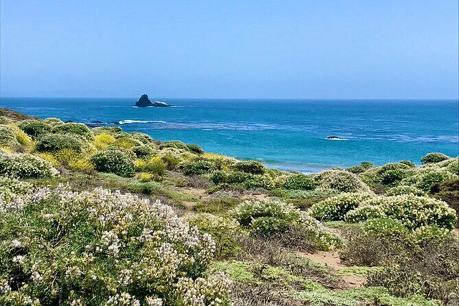 A La La Tour - Private Tour of California's Central Coast - The Itinerary and Stops