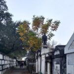 A Local's Garden District Tour - Who Is This Tour Best For?