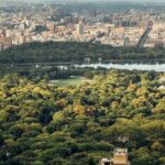 A Scenic Walking in Tour Central Park - Who Should Book This Tour?