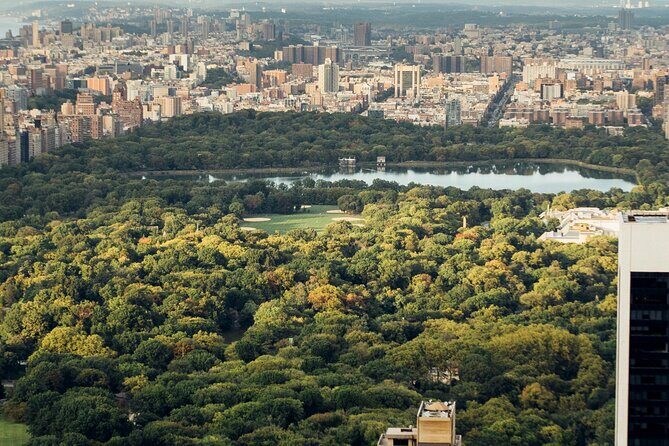 A Scenic Walking in Tour Central Park - Who Should Book This Tour?