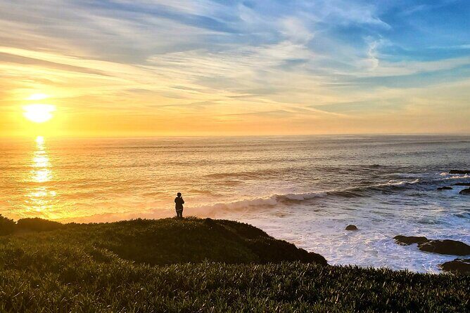 A Self-Guided Audio Tour Around Bodega Head - A Deep Dive into the Experience