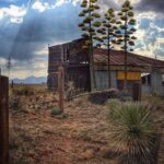 A Wine Tasting Experience in the Vineyards of the Desert - Value for Money