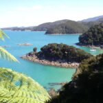 Abel Tasman National Park: Sailing and Self-Guided Walk - The Experience: What Sets This Tour Apart?