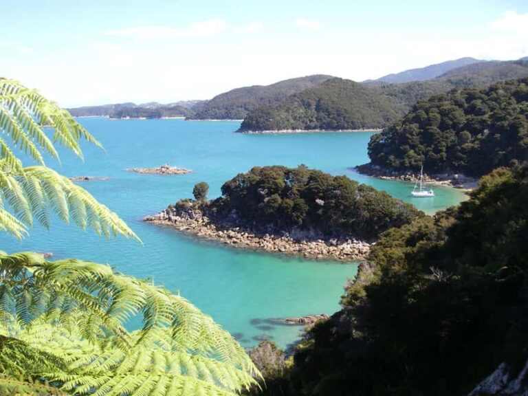 Abel Tasman National Park: Sailing and Self-Guided Walk - The Experience: What Sets This Tour Apart?