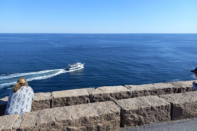 Acadia Woody's Utmost Coast 3 Hour Driving Tour - Cadillac Mountain: The Towering Viewpoint