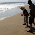 -Acapulco: 6hr City Tour & Turtle Release & High Diver Show - Who Will Love This Tour?