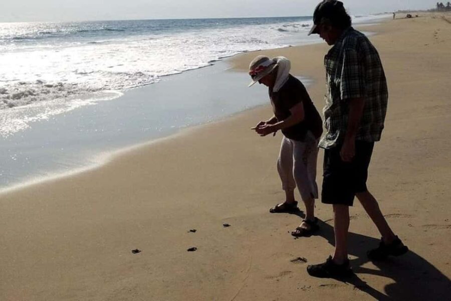 -Acapulco: 6hr City Tour & Turtle Release & High Diver Show - Who Will Love This Tour?