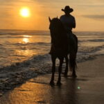 Acapulco: Bonfil Beach Horseback Riding Experience - The Experience in Detail