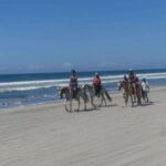 -Acapulco: Horseback Ride Exp. Crocodile Farm, and City Tour - How the Tour Is Structured — The Practical Details
