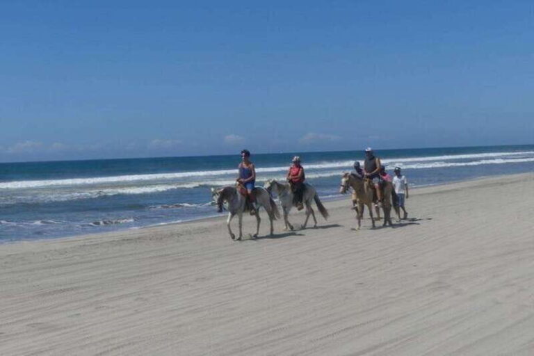 -Acapulco: Horseback Ride Exp. Crocodile Farm, and City Tour - How the Tour Is Structured — The Practical Details