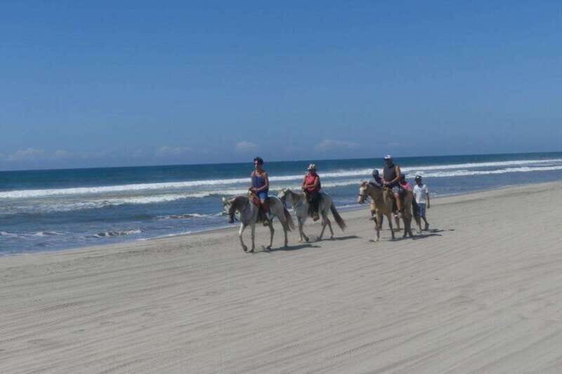 -Acapulco: Horseback Ride Exp. Crocodile Farm, and City Tour - How the Tour Is Structured — The Practical Details