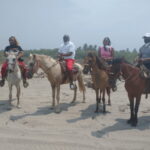 Acapulco: Horseback Riding, Turtle Camp, and Crocodile Tour - What’s Included and What’s Not