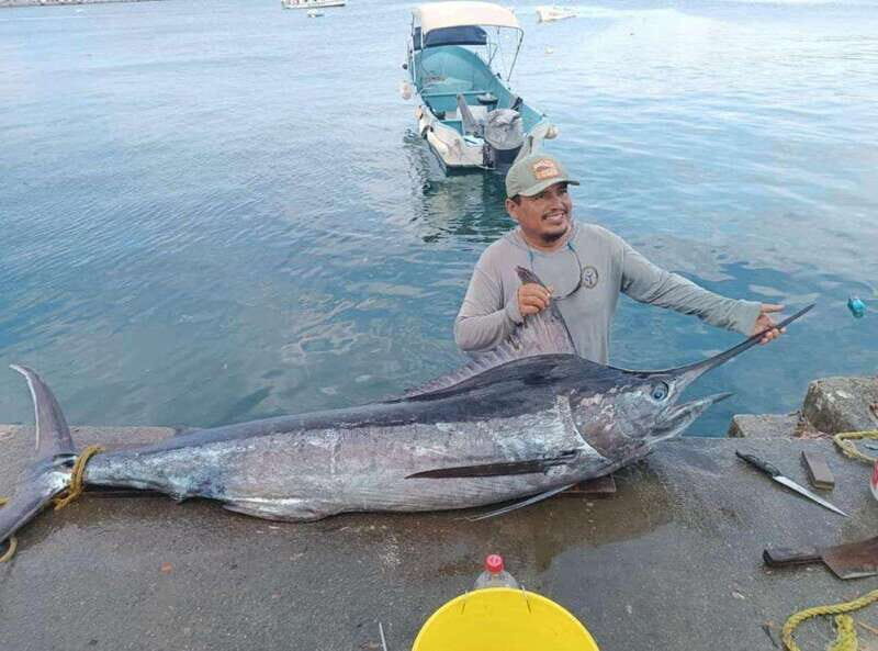 Acapulco: Private Fishing Experience - Analyzing the Value