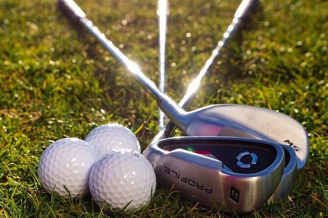 Active 1 Hour Private Professional Golf Tour in Streamsong - A Closer Look at the Tour Experience