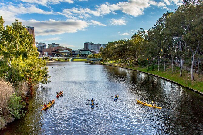 Adelaide City Kayak Tour - Final Thoughts: Why This Tour Could Be Your Adelaide Highlight