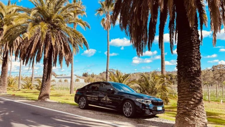 Adelaide Cruise Ship Tours - Who Should Consider This Tour?