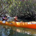 Adelaide: Dolphin Sanctuary Single or Double Kayak Rental - The Experience in Detail