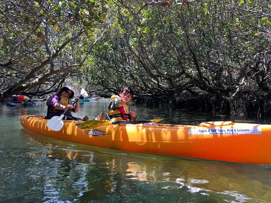 Adelaide: Dolphin Sanctuary Single or Double Kayak Rental - The Experience in Detail