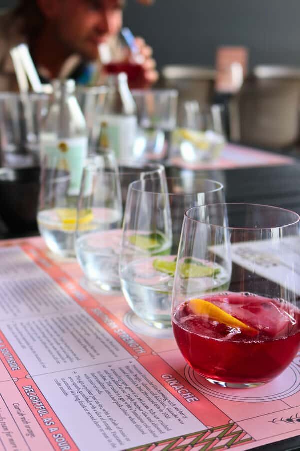 Adelaide: Fleurieu Rock Climb & Gin Tasting - What We Think Overall