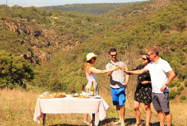 Adelaide: Fork & Grape Safari 4WD Tour - Practical Details and Considerations