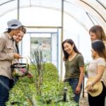 Adelaide Hills: Jurlique Farm Tour - Who Is This Tour Best For?