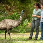 Adelaide to Melbourne: 3-Day Ultimate Overland Journey - The Real Deal: What Travelers Say