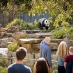 Adelaide Zoo: General Admission Tickets - The Practicalities of Visiting